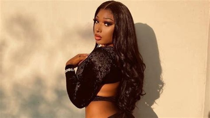Megan Thee Stallion Lets Her ‘Real Hair Down’ & Twerks In New Video – Hollywood Life