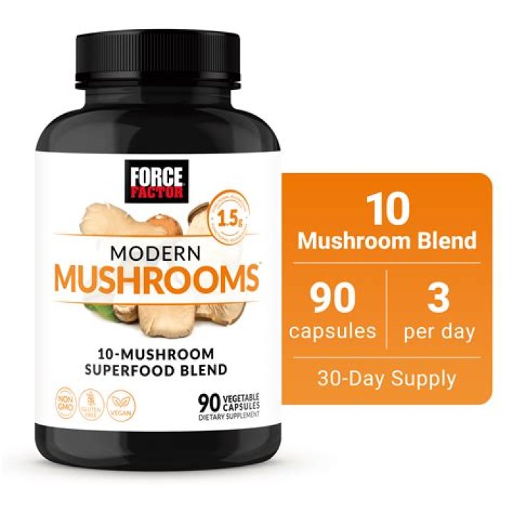 Highest-Rated Mushroom Supplements of 2024 – Hollywood Life Reviews – Hollywood Life