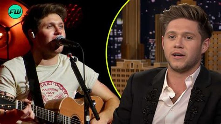 Niall Horan Strips Down While Filming Music Video With Sexy Model Georgia Gibbs