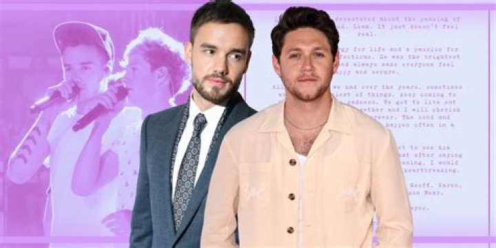 Niall Horan Speaks Out After Louis Tomlinson & Naughty Boy Twitter War