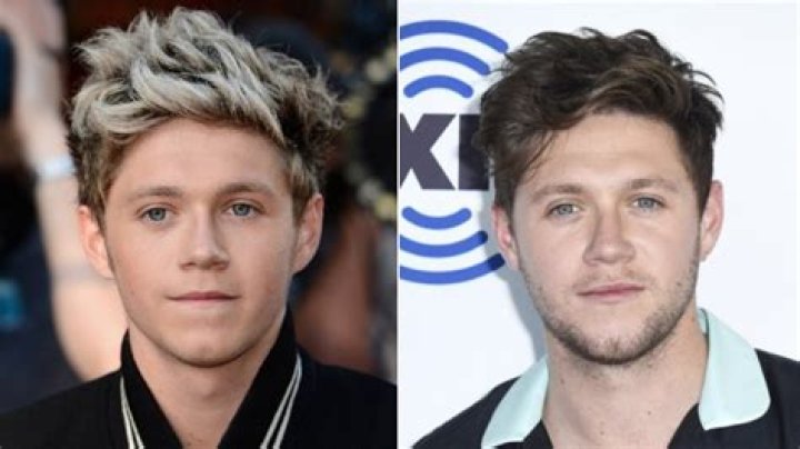 Did Niall Horan Dye His Hair Blonde Again? Fans Think So — See Pic – Hollywood Life