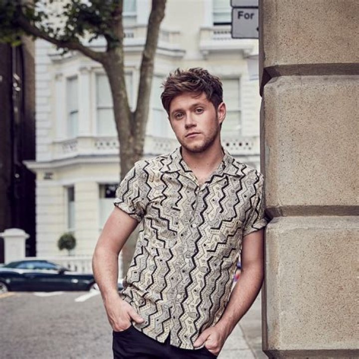 Niall Horan’s ‘Too Much To Ask’ Video — PICS