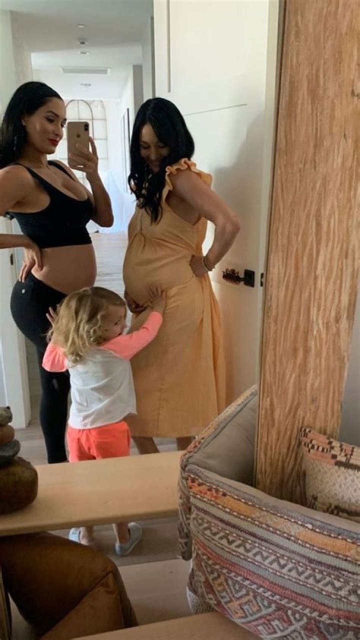 Nikki & Brie Bella Show Off Their Growing Baby Bumps In Pregnant Sister Selfie
