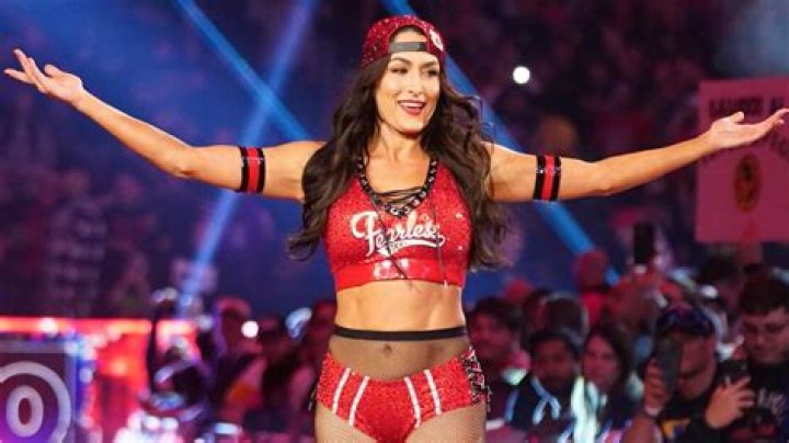 Nikki & Brie Bella Show Off Their Baby Bumps As They’re Announced For 2020 WWE Hall of Fame