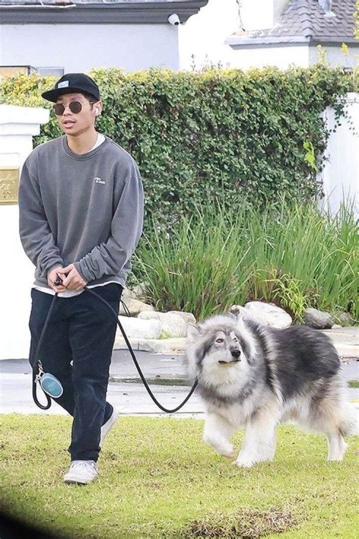 Pax Jolie-Pitt Walks His Dog Amid Dad Brad Pitt’s New Romance: Photos – Hollywood Life