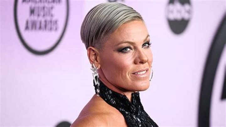 Pink Slams Online Troll for Calling Her ‘Old’ in New Comment – Hollywood Life