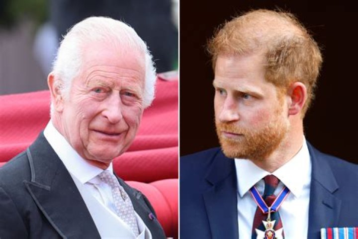Prince Charles Dodges Questions About Prince Harry & Meghan In First Public Appearance Since Interview