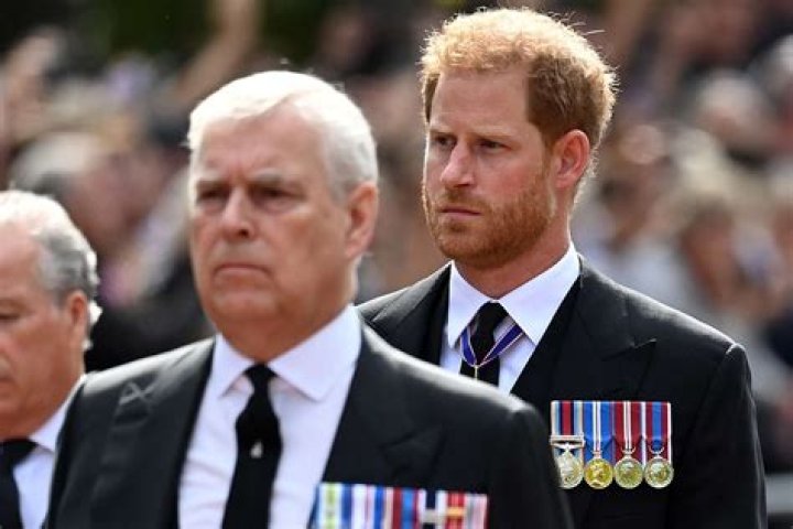 Prince Harry and Prince Andrew Quietly Barred From Counsellor of State Roles Amid King Charles’ Medical Procedure