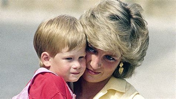 Prince Harry Believed Princess Diana Faked Death To Escape Press – Hollywood Life
