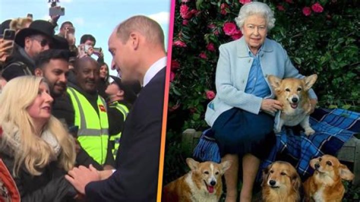 Queen Elizabeth’s Royal Corgis Watch Monarch’s Casket Travel To Windsor: Photo