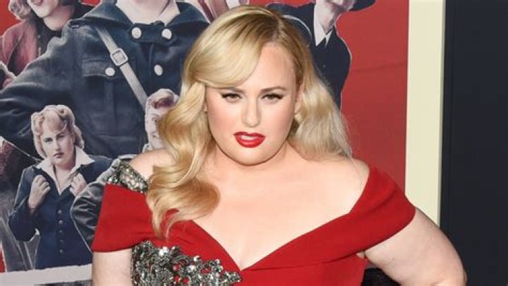 Rebel Wilson Radiates Beauty In A $1,200 Emilio Pucci Blouse — See Glamorous Pic