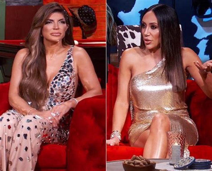 Teresa Giudice Disses Melissa Gorga – We’re ‘Not Close’ – Hollywood Life