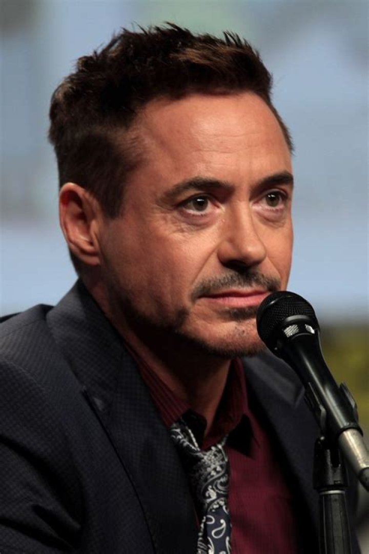 Robert Downey Jr. Celebrity Profile – Hollywood Life