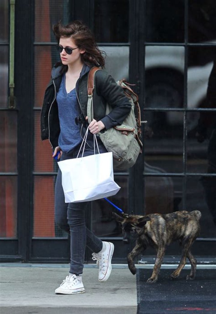 Robert Pattinson & Kristen Stewart To Adopt Rescue Dog — Report