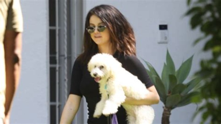 Singer Takes Cute Pup Winnie For Walk – Pic – Hollywood Life