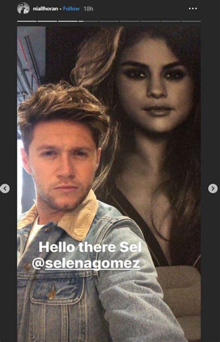 Selena Gomez & Niall Horan: Their Cutest Moments — So Far
