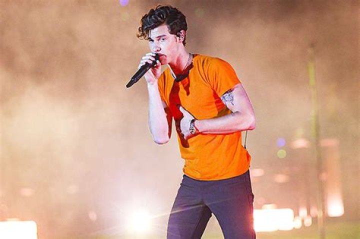 Shawn Mendes Cancels Tour Dates To Work On Mental Health: I’m At A ‘Breaking Point’