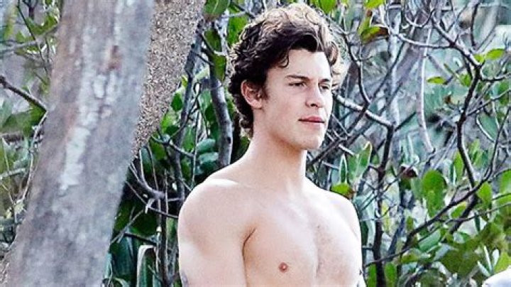 Shawn Mendes Addresses Gay Rumors & Explains Why It Upset Him – Hollywood Life