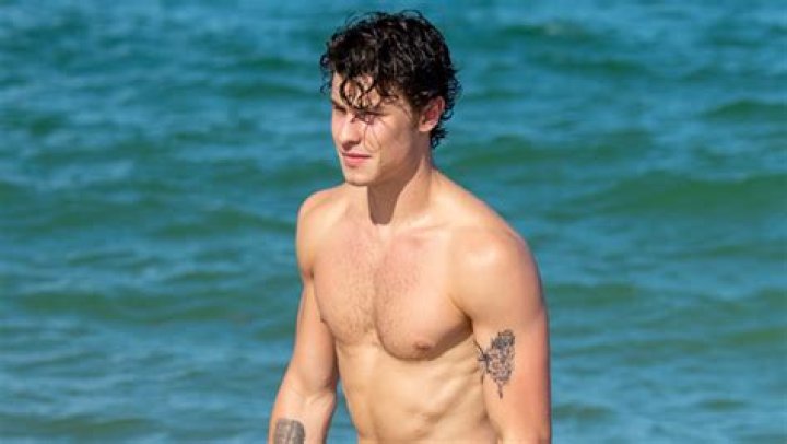Shawn Mendes Posts Shirtless Pic While Eating Avocado & Celebs React – Hollywood Life
