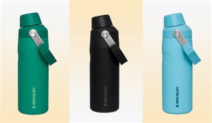 Quench Your Thirst With This Stanley Water Bottle That Has Over 15k Positive Reviews