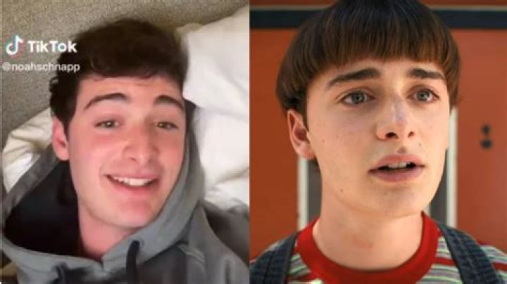 ‘Stranger Things’ Star Noah Schnapp Comes Out As Gay On TikTok – Hollywood Life