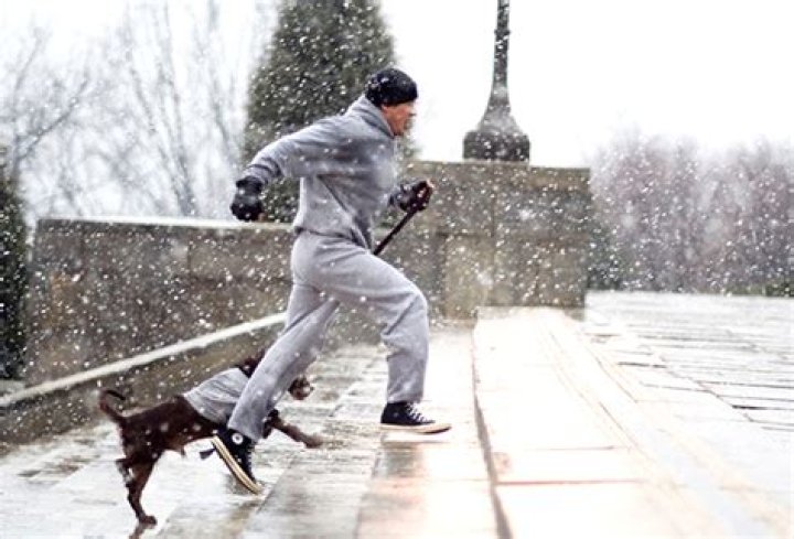 Sylvester Stallone Visits ‘The Rocky Steps’ On ‘The Family Stallone’ – Hollywood Life