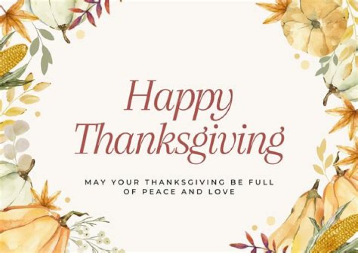 Our Top-Rated Thanksgiving Cards of 2024 – Reviews by Hollywood Life – Hollywood Life