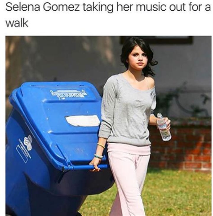 It’s Garbage — Harsh Meme – Hollywood Life