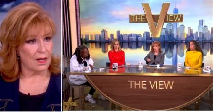 ‘The View’ Cancelled? — The Truth Behind The Show Ending After Hosts Depart – Hollywood Life