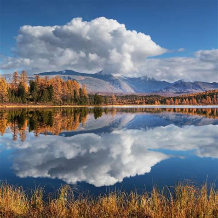 ‘The Wilds’ — Photos