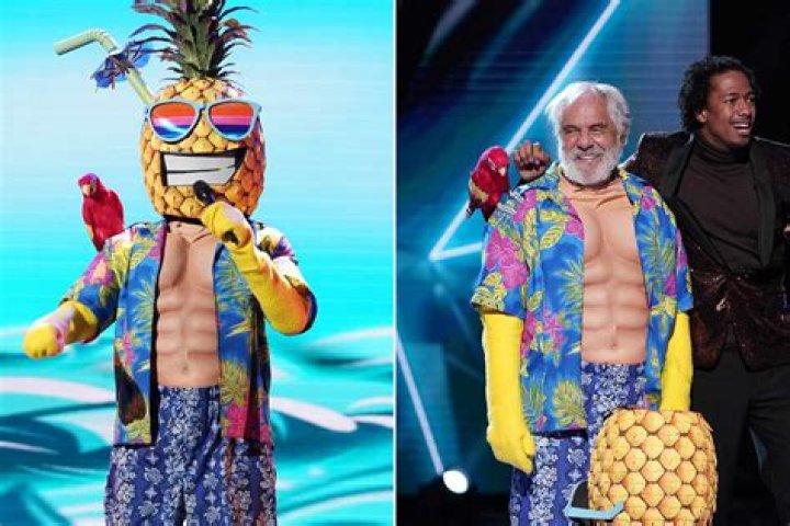 Tommy Chong Is The Pineapple — ‘The Masked Singer’ Episode 2 Recap – Hollywood Life