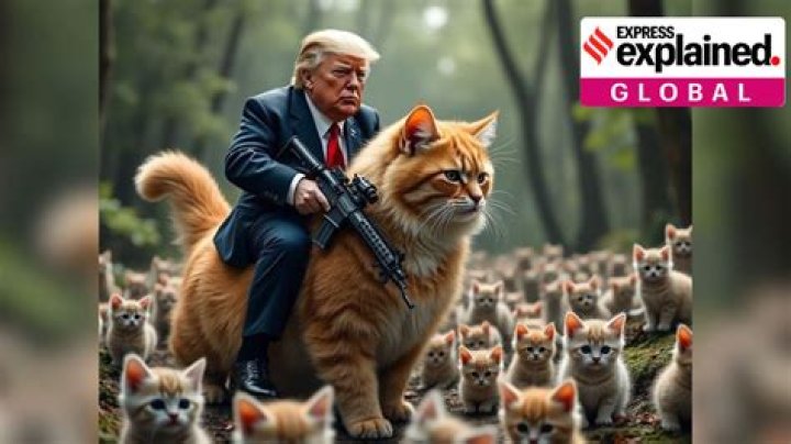 Trump Your Cat — Hilarious Pics