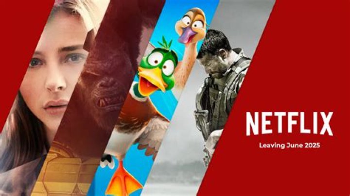 What’s Leaving Netflix In January 2022? Full List Of Movies & Shows – Hollywood Life