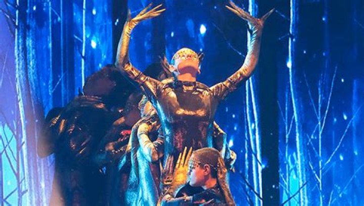 Who Are The Mayyas? About The ‘AGT’ Season 17 Winners – Hollywood Life