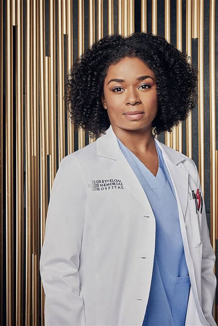 Who Is Alexis Floyd? About The New ‘Grey’s Anatomy’ Cast Members – Hollywood Life
