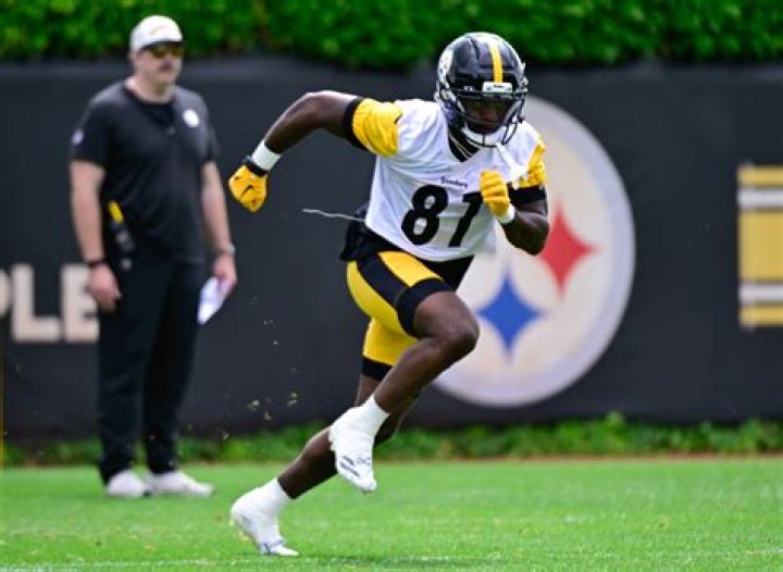 Antonio Brown: 5 Things About The NFL Star Who Took Off His Shirt & Left Field Mid-Game