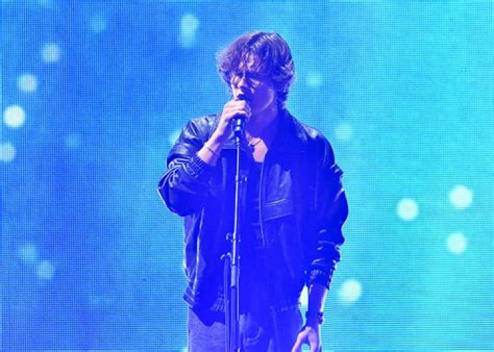 Who Is David Kushner? Get to Know the Viral TikTok Star – Hollywood Life