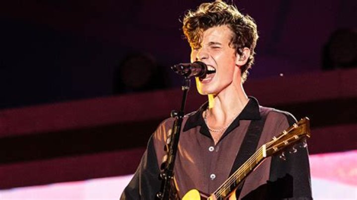 Who Is Dieter Addison? Facts About Hilary Duff’s Partying Neighbor – Hollywood Life