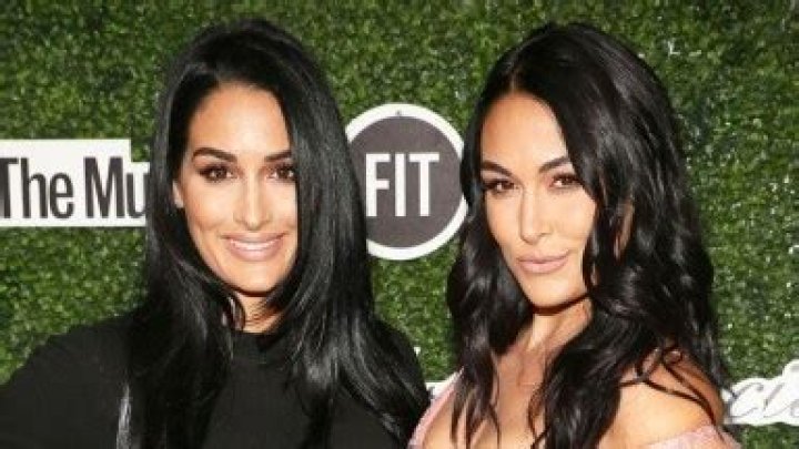 Who Is Kathy Colace? 5 Things To Know About Nikki & Brie Bella’s Mom – Hollywood Life