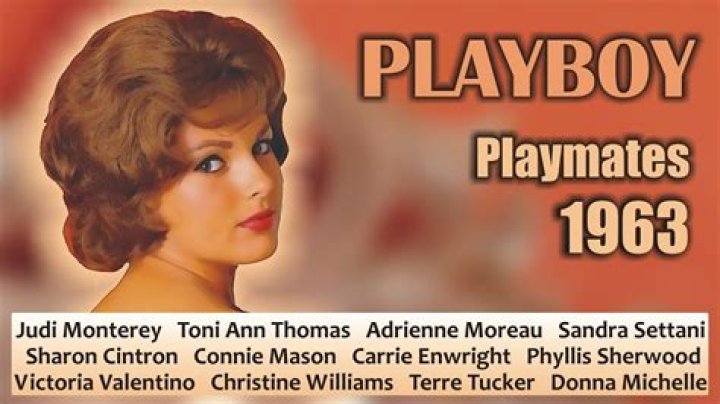 Valerie Mason: 5 Things To Know About Ex ‘Playboy’ Playmate Arrested For Possession Of Meth