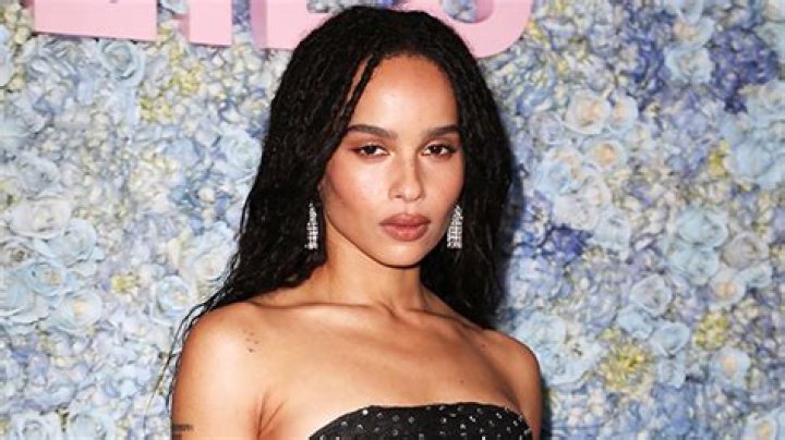 Who Is Zoe Kravitz? 5 Fun Facts About The Actress & Singer – Hollywood Life