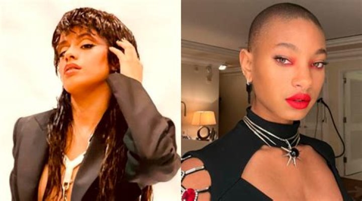 Willow Smith & Camila Cabello Twin In Black Fishnets & Underwear For New Track ‘Psychofreak’: Photo