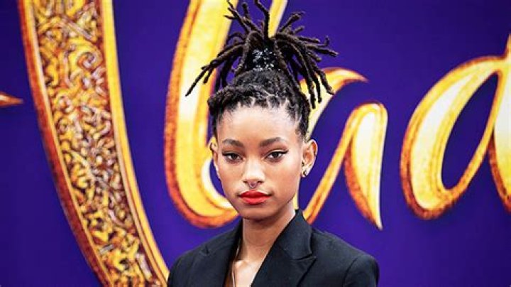 Willow Smith’s Hair Makeover: She Shaves Her Head (Again) — Before & After Pics